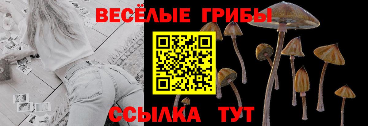 Галлюциногенные грибы GOLDEN TEACHER Магадан